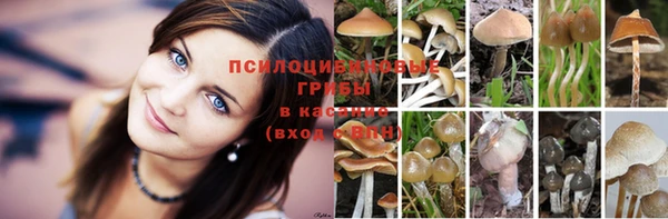 метамфетамин Армянск